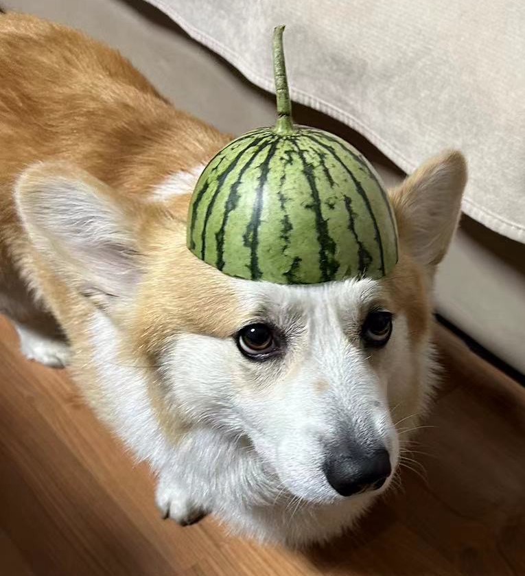 Clement, 4 years old, July 2024