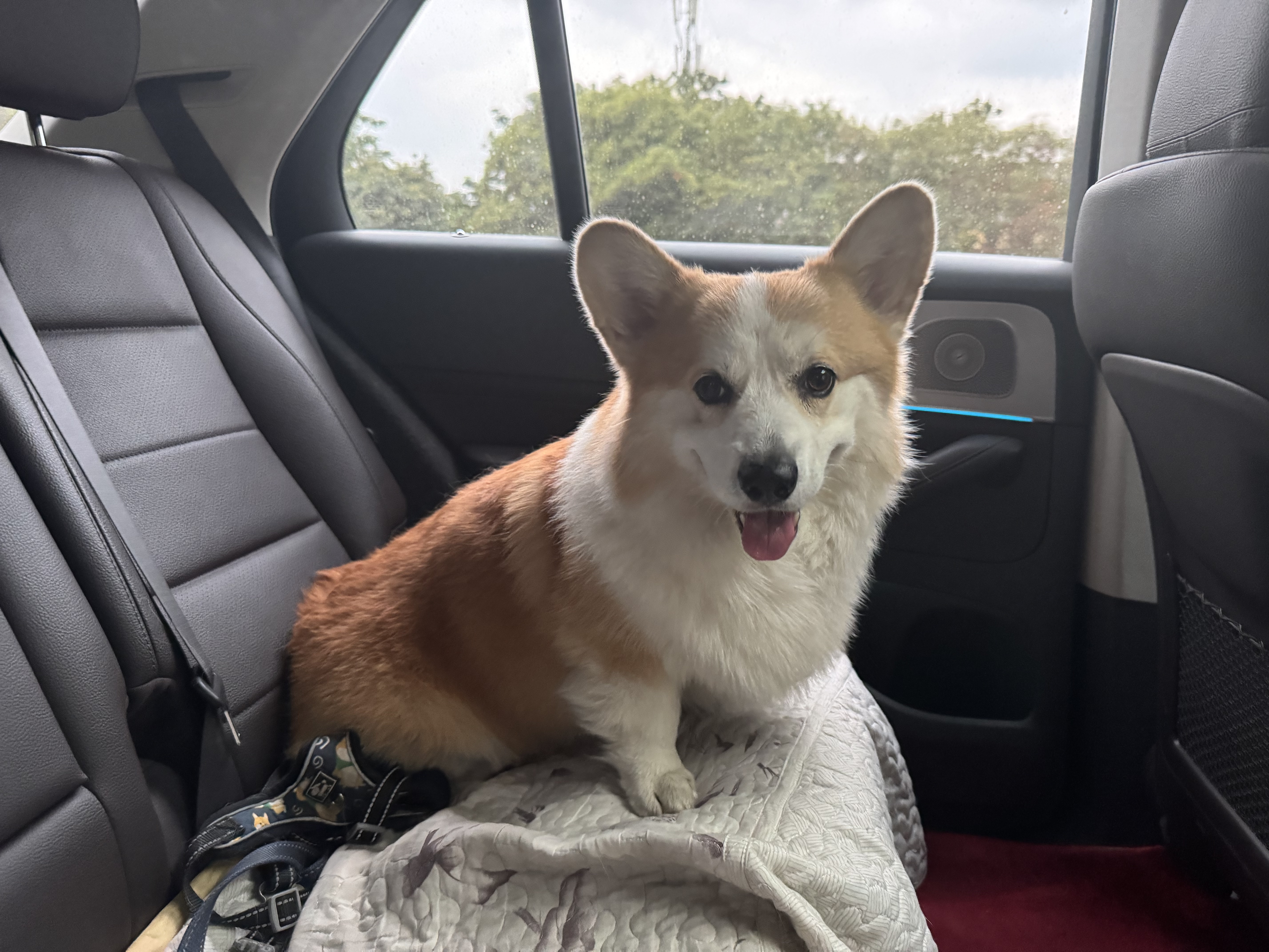 Clement, 5 years old